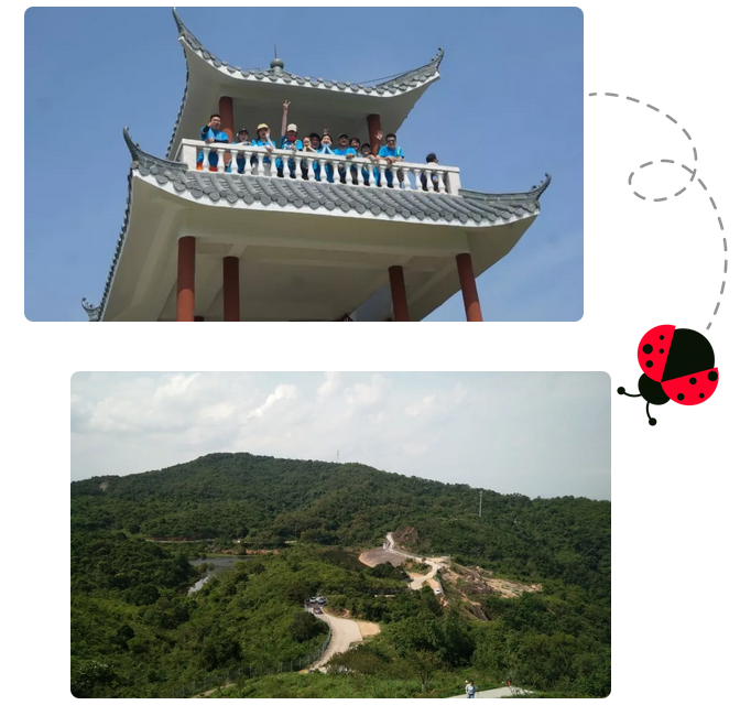 精准一码发财